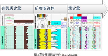 斯倫貝謝SIS中國(guó)網(wǎng)站 卓越的軟件產(chǎn)品與服務(wù)，賦能能源行業(yè)數(shù)字化未來(lái)
